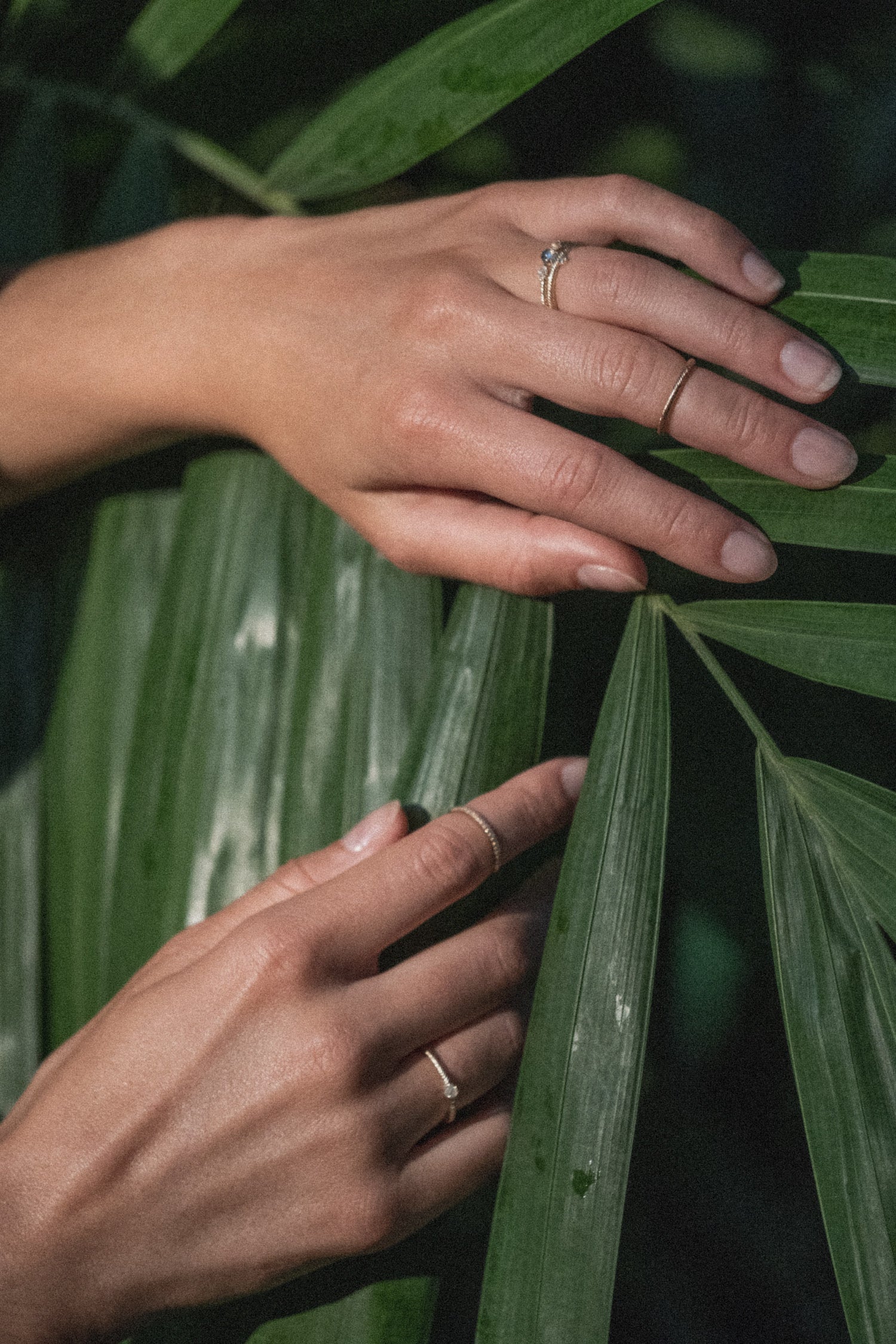 Hands wearing Aiden Jae rings among tropical foliage, the brand world where quality meets nature