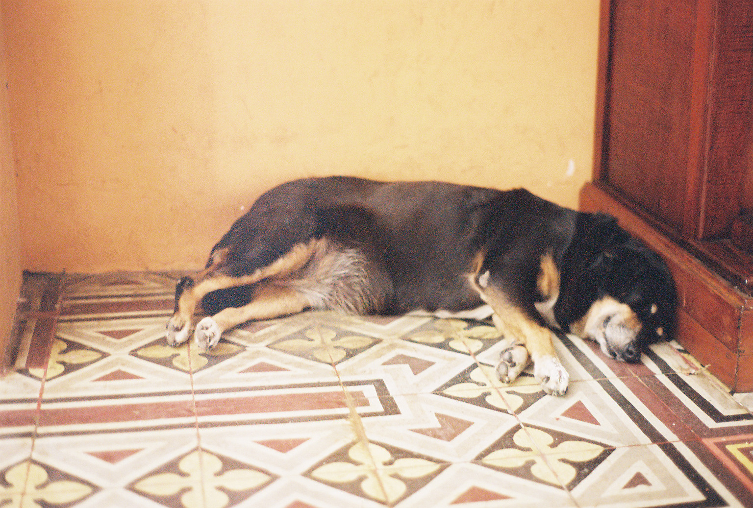 Alajuela, Costa Rica