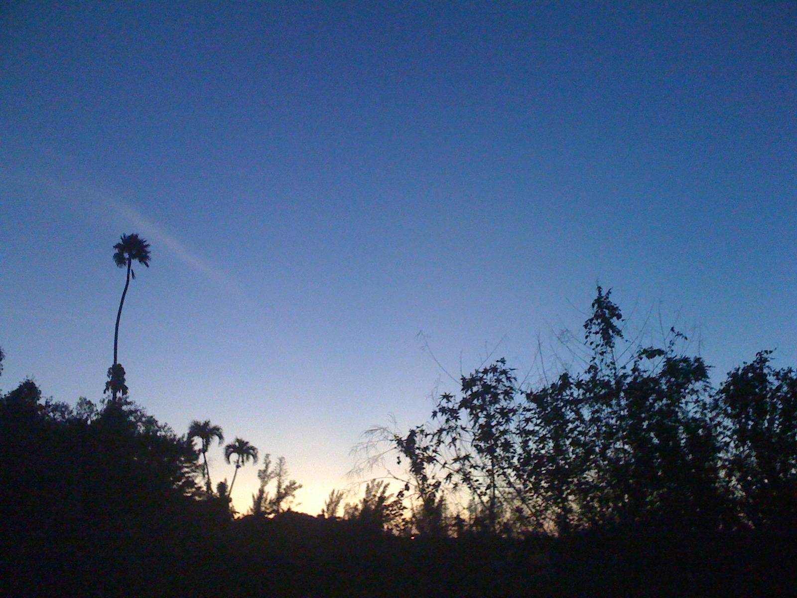 Fort Lauderdale, Florida, January 19, 2017