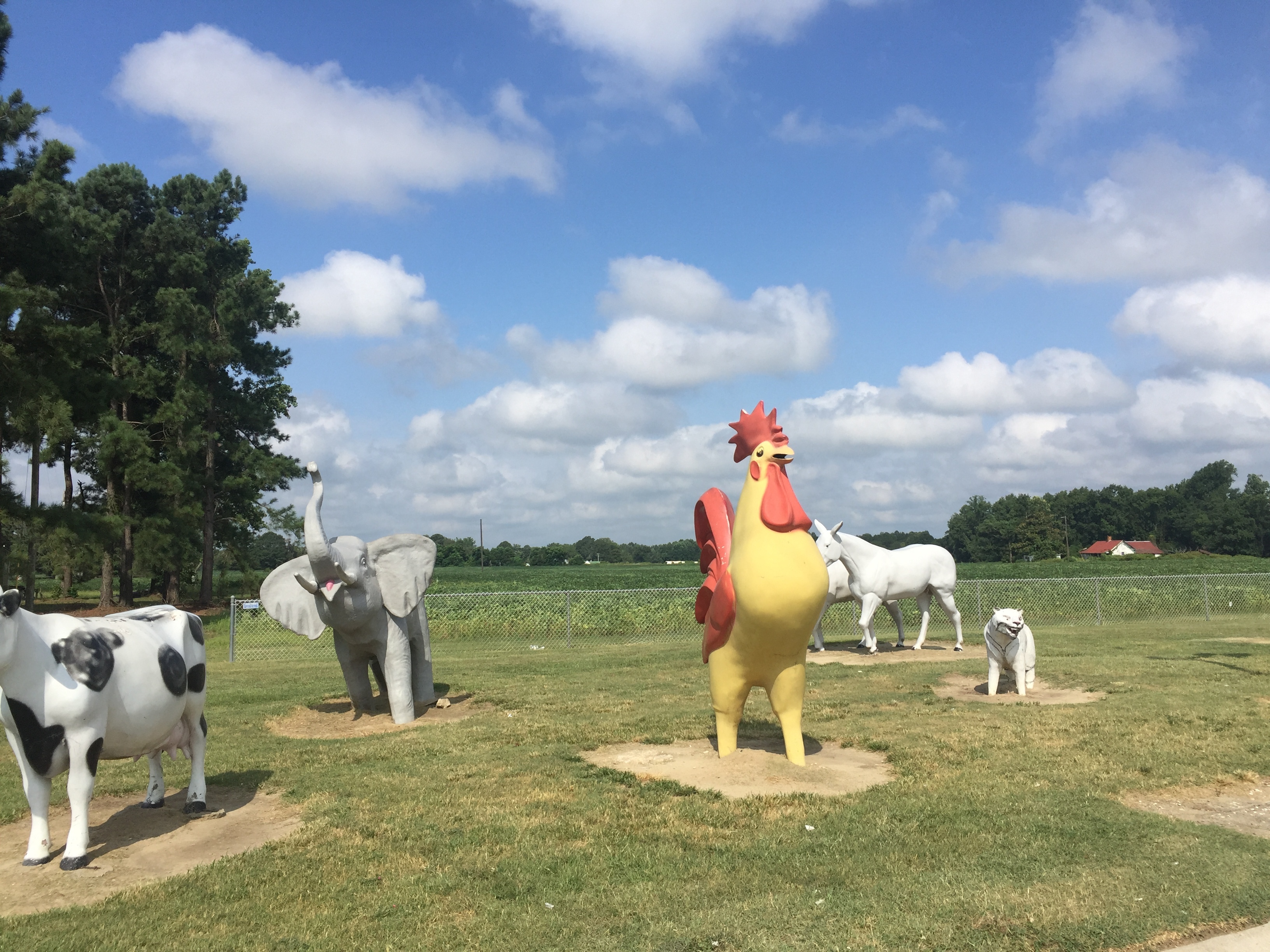 North Carolina (I-95, New York to Florida), August 3, 2016